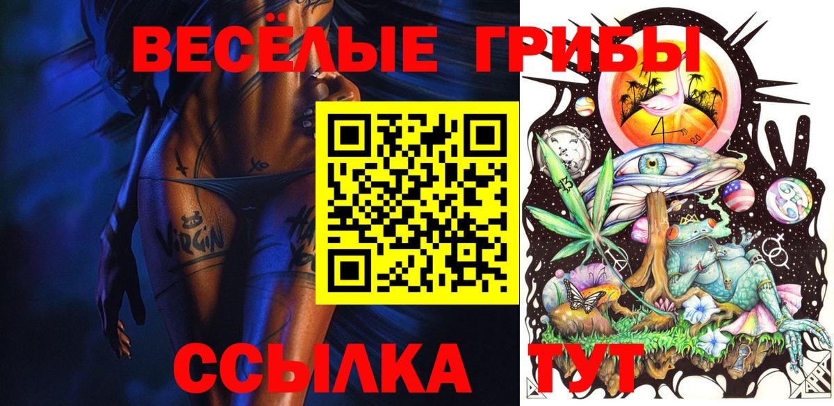 Галлюциногенные грибы Cubensis  Вход с VPN  Кириши 